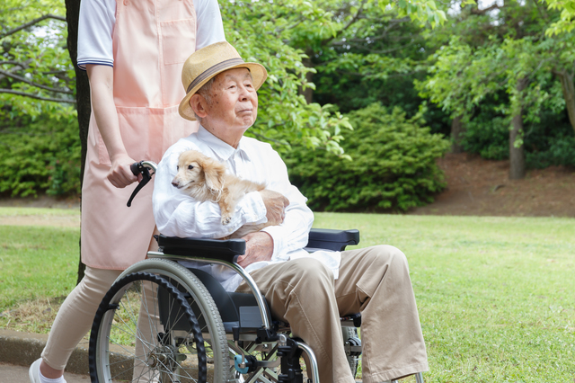 ペットのための遺言の書き方は？死因贈与契約や信託など、飼い主の相続準備